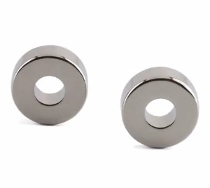 El tamaño modificó el neodimio Ring Shaped Magnet del imán para requisitos particulares permanente